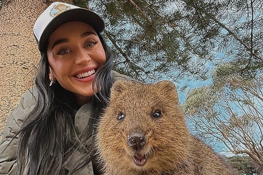 Cuộc sống Katy Perry sau hủy hôn Orlando Bloom