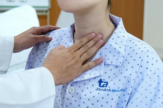 Cơn bão giáp là gì?