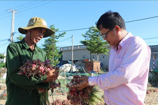 Vốn chính sách giúp người dân đảo tiền tiêu Lý Sơn thoát nghèo