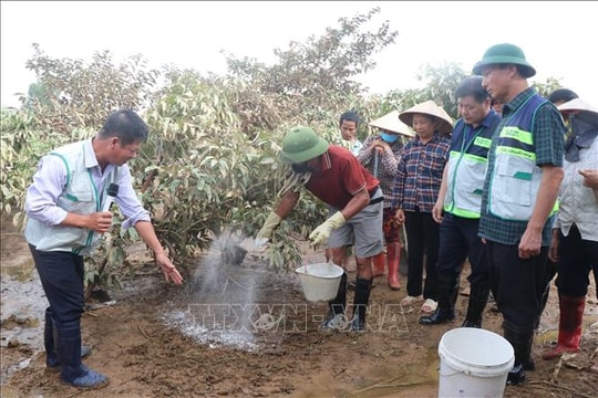 Hỗ trợ nông dân khôi phục sản xuất sau mưa lũ