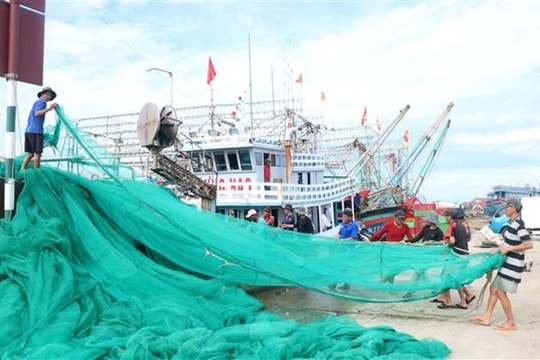 Khắc phục 'thẻ vàng' IUU: Quảng Trị không còn tàu cá '3 không'