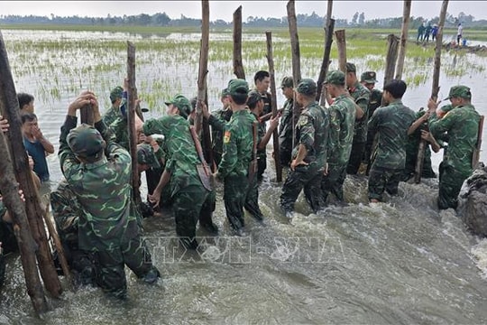Tây Ninh huy động lực lượng khẩn trương khắc phục sự cố đê bao