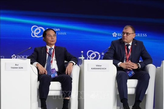 Phó Thủ tướng Bùi Thanh Sơn: Năng lượng là nền tảng của hòa bình và phát triển