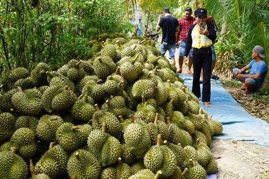 Trung Quốc chi hơn một tỷ USD mua rau quả Việt trong tháng 9