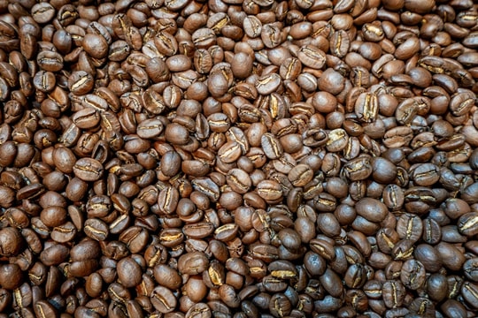 Cà phê Lâm Đồng được chứng nhận Chỉ dẫn địa lý