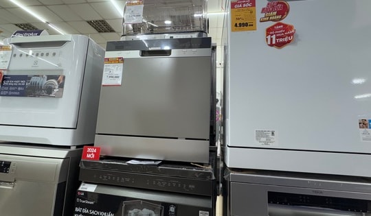 Máy rửa chén mini giá rẻ bán tràn lan trên mạng