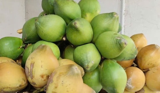 Điều gì khiến giá dừa tươi đột ngột giảm sâu?