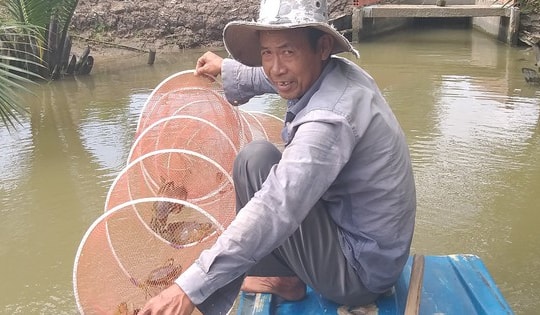 Miền Tây: Cua biển trói bằng dây nilon giá 450.000 đồng/kg