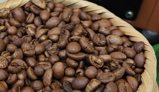 Giá cà phê hôm nay 15-10: Arabica tăng dữ dội