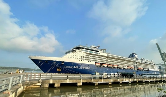 Doanh nghiệp "ngồi trên lửa" khi cảng ở TP HCM ngưng đón khách du lịch tàu biển