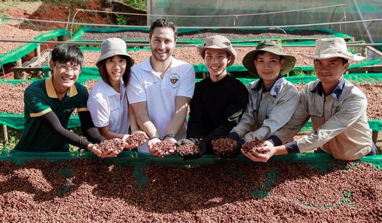 Giá cà phê lên đỉnh, trả công 1 triệu/ngày vẫn thiếu người hái