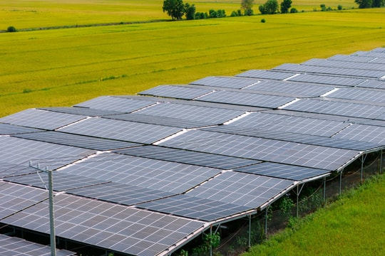 Điện mặt trời nông nghiệp - giải pháp cho năng lượng sạch và sinh kế bền vững