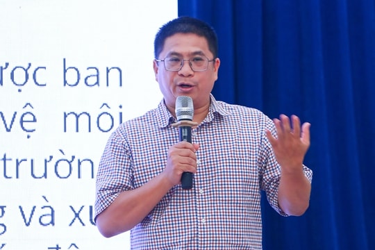 Việt Nam chưa có dự án tạo tín chỉ carbon từ trồng rừng