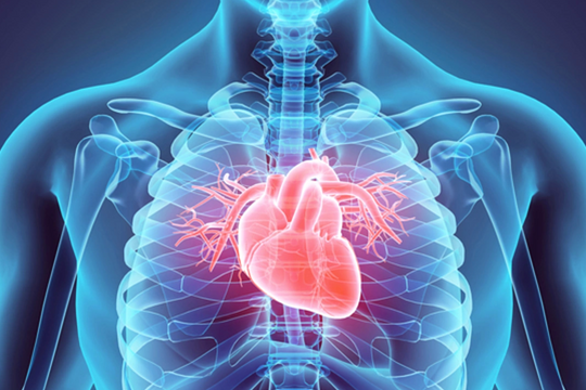 Rối loạn cương dương là dấu hiệu sớm của bệnh tim, tiểu đường?