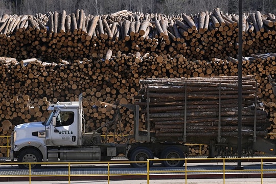 Việt Nam sẵn sàng trao đổi với Mỹ về thuế gỗ nhập khẩu