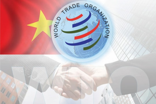 Việt Nam tham gia cơ chế giải quyết tranh chấp của WTO