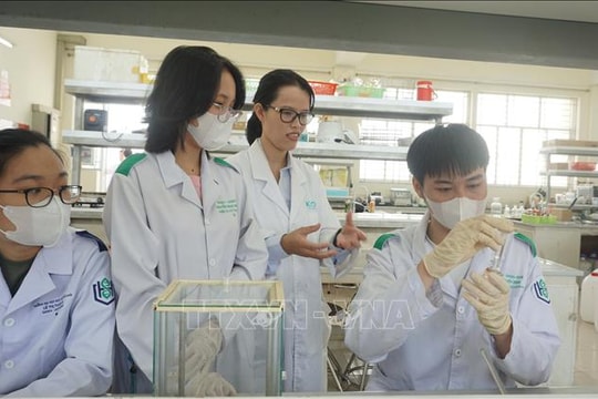 Ngày Phụ nữ Việt Nam 20/10: Nữ Tiến sĩ trẻ với hơn 60 công bố quốc tế