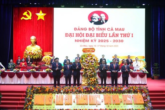 Dấu mốc quan trọng đưa Cà Mau phát triển toàn diện