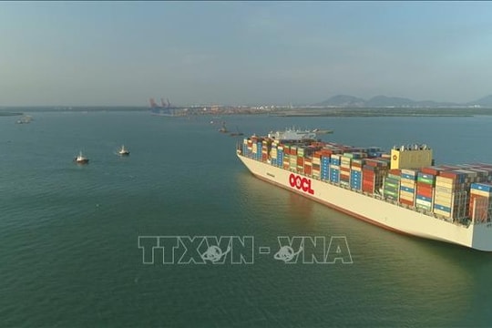 Kiến nghị tạo điều kiện đón khách quốc tế tại cảng thuộc khu vực Cái Mép - Thị Vải