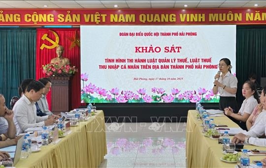 Các chính sách thuế cần minh bạch, dễ hiểu, dễ tiếp cận