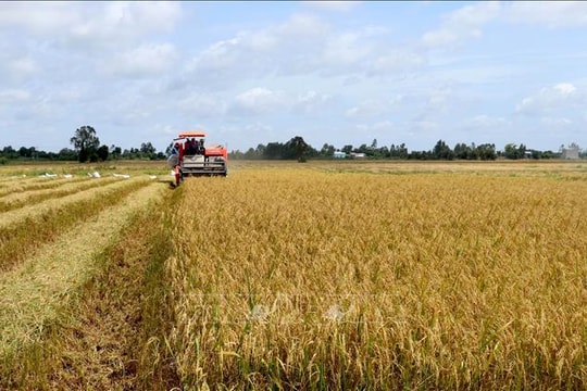 Phê duyệt Chiến lược phát triển khuyến nông tầm nhìn đến năm 2050