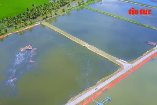 Ứng dụng AI, dữ liệu lớn và blockchain trong quản lý công trình thủy lợi