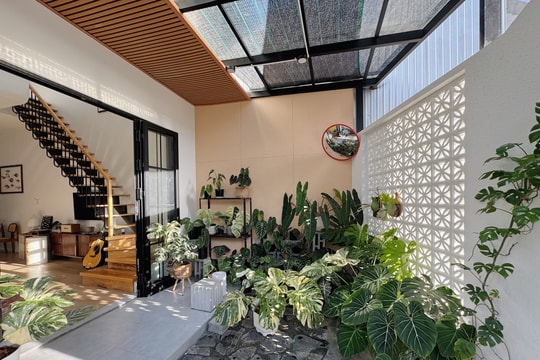 Căn nhà ngập tràn ánh sáng và cây xanh trong thiết kế hai tầng