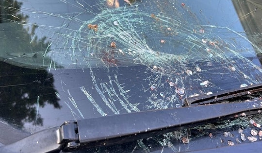 Cá từ trên trời rơi xuống làm vỡ kính chắn gió xe ô tô