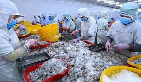 Tổng Giám đốc một công ty thủy sản lớn xin nghỉ việc vì "cảm thấy năng lực không còn đáp ứng được"