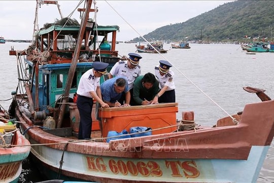 Thủ tướng yêu cầu tập trung thực hiện tháng cao điểm chống khai thác hải sản bất hợp pháp
