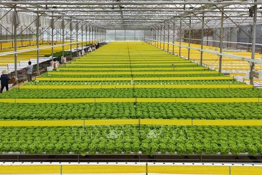 Nông nghiệp Việt Nam trước ngưỡng cửa công nghệ chỉnh sửa gen