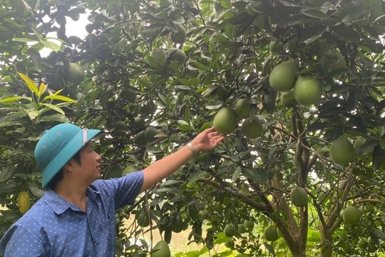 Phú Thọ: Xây dựng nông thôn mới gắn với bản sắc vùng