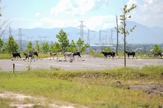 Cụm công nghiệp 'đắp chiếu' ở Đà Nẵng