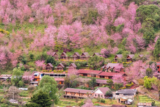 Nước nào có thành phố an toàn nhất Đông Nam Á?