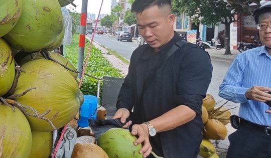 Xuất khẩu dừa tươi nhìn từ bài học sầu riêng, thanh long