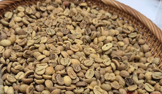 Giá cà phê hôm nay 18-10: Robusta hạ nhiệt