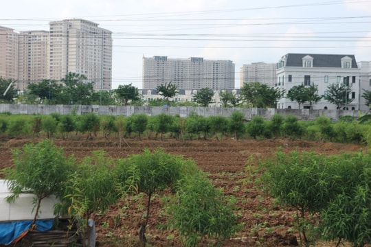 Chưa sửa đổi Luật Đất đai 2024 trong kỳ họp thứ 10, Quốc hội khóa XV