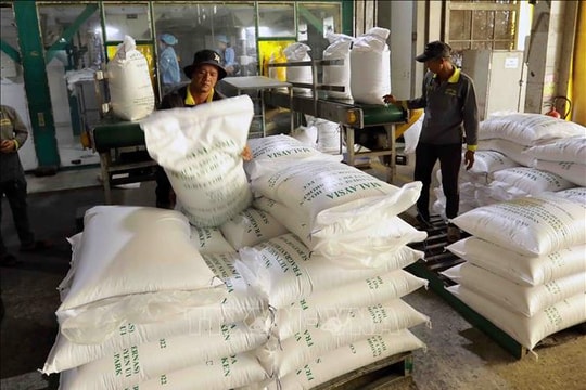 Doanh nghiệp gạo Việt chuyển hướng sang thị trường xa