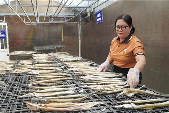 Phụ nữ vùng biên Đồng Tháp khởi nghiệp từ 'tài nguyên bản địa'