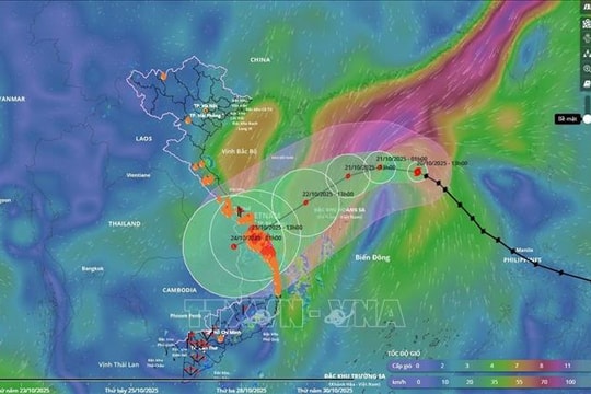 Thủ tướng Chính phủ yêu cầu chủ động ứng phó với bão số 12 và mưa lũ