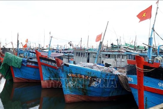 Quảng Ngãi: Kêu gọi, hướng dẫn hơn 760 tàu thuyền di chuyển tránh trú bão số 12