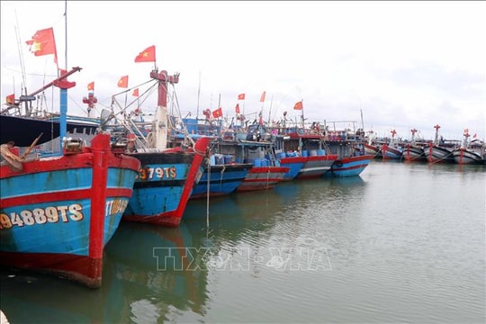 Ứng phó bão số 12: Huế kêu gọi tàu thuyền vào bờ neo đậu trước 19 giờ ngày 20/10