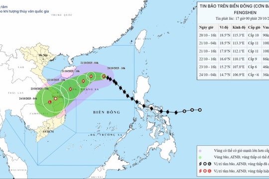 Chuyên gia nhận định về cơn bão số 12