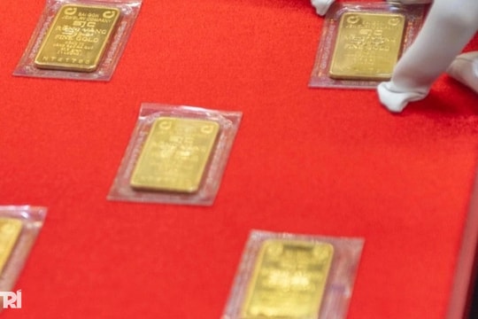 Giá thu mua vàng miếng tăng 500.000 đồng/lượng
