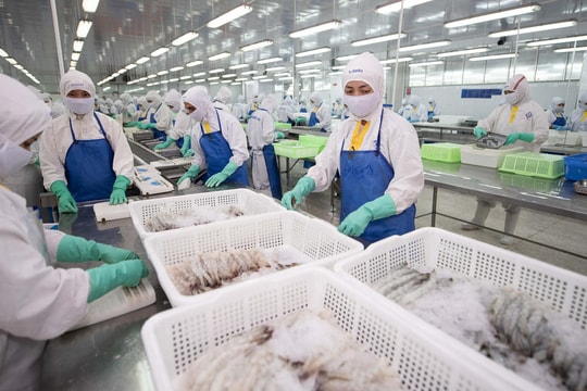 Một doanh nghiệp tôm tốn gần 200 tỷ đồng đóng thuế đối ứng