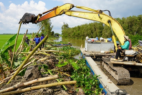 Đắp đê cứu lúa ở Đồng Tháp Mười mùa lũ