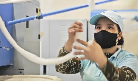 Khởi nghiệp xanh gặp nhiều thách thức