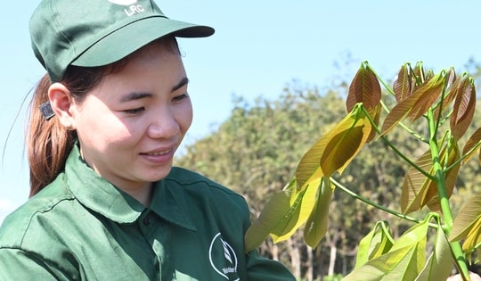 VRG về đích lợi nhuận cả năm chỉ trong 9 tháng – ghi dấu ấn kỷ niệm 96 năm truyền thống ngành