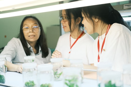 Nữ sinh duy nhất lĩnh vực Sinh học ứng dụng được vinh danh toàn quốc