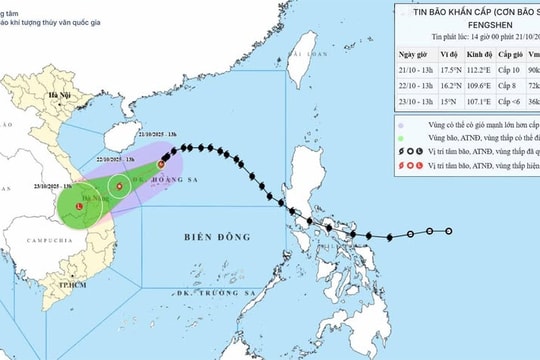 Bão số 12 cách Đà Nẵng 450 km, miền Trung có mưa lớn